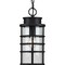 Progress Lighting Port Royal Collection One-Light Hanging Lantern with DURASHIELD P550061-031 - alternate 4